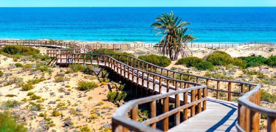 Apartamento En El Centro De Elche Con Terraza La Alborada Bagian luar foto